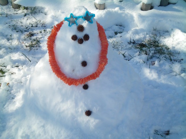 Winter Birthday Party