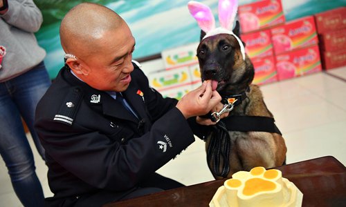 dog birthday