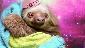 sloth birthday